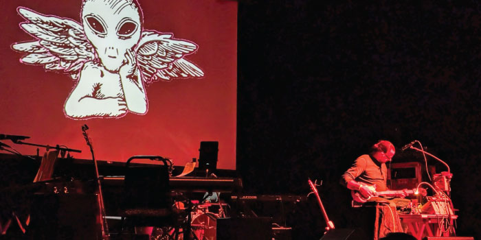 Scotchamo Live Music Performance