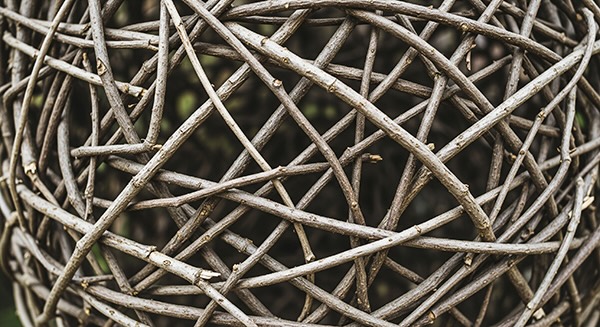Willow Stick Drawing Workshop